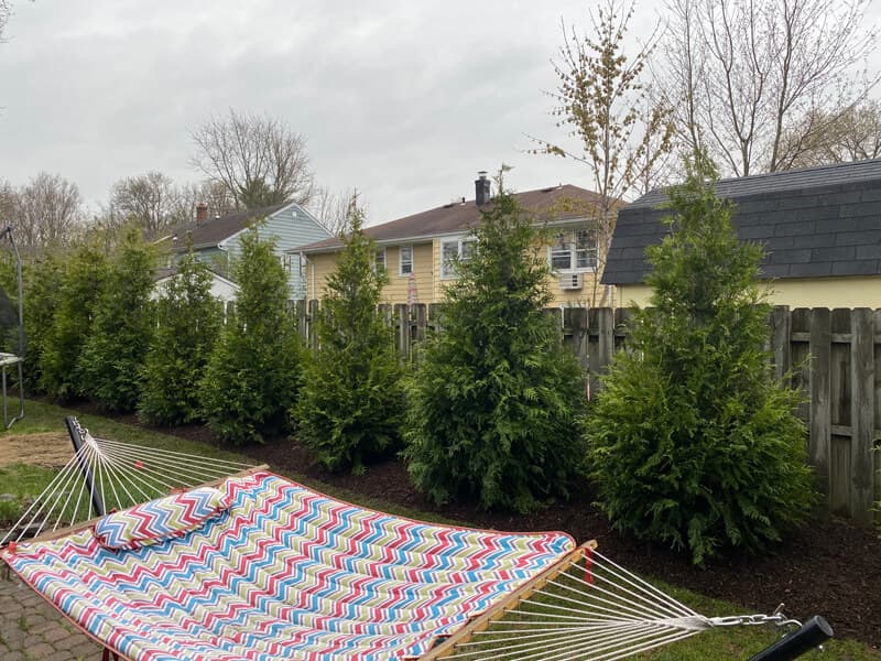 APMazzilli Landscaper Westfield 06